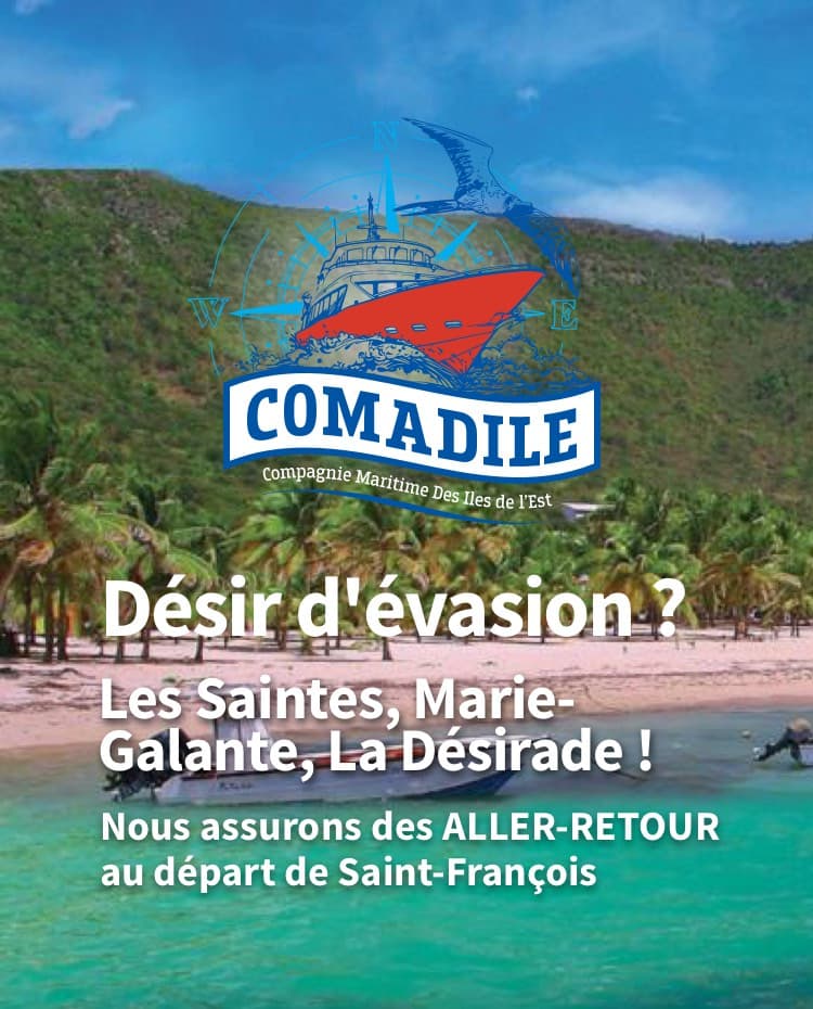 Liaisons maritimes vers les Saintes, Marie-Galante, La Désirade