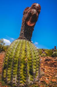 LRM_EXPORT_20180819_214726-196×300